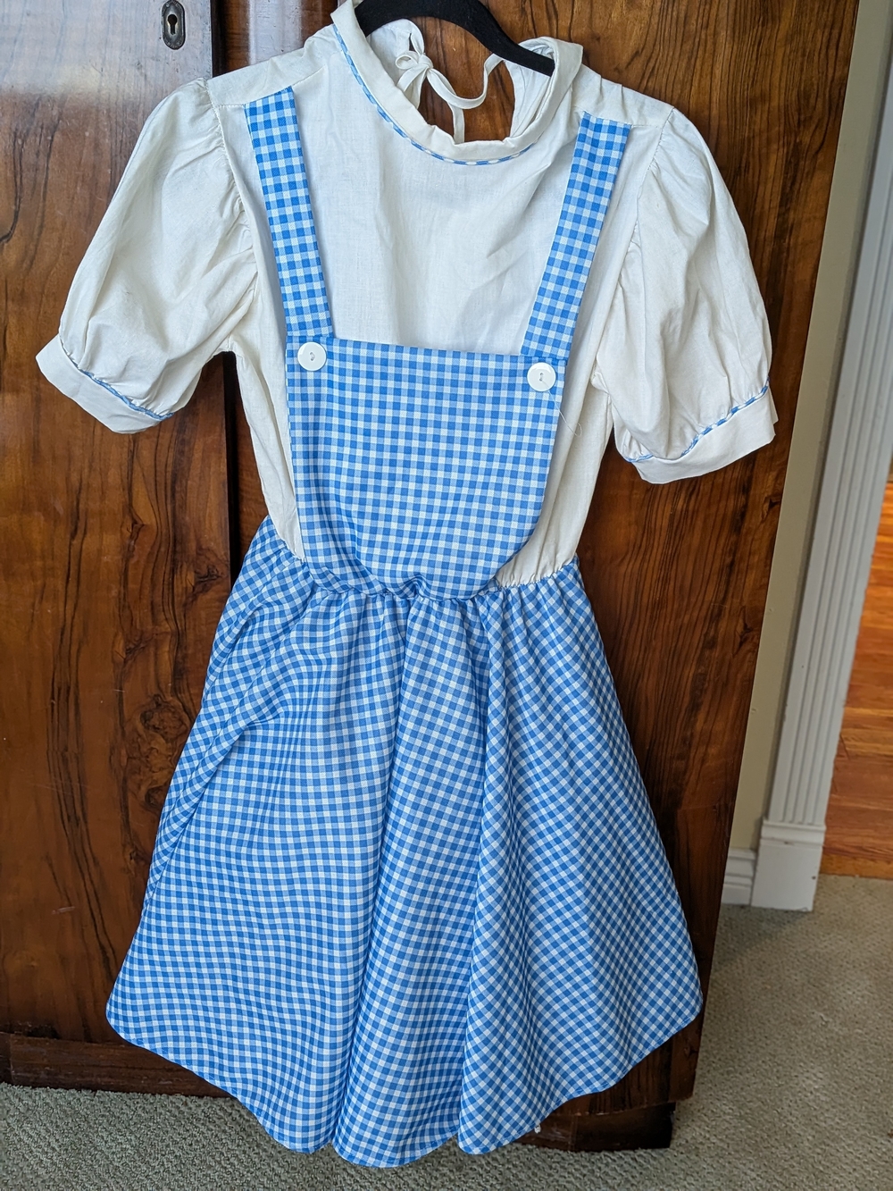 Vintage 1996 DOROTHY WIZARD OF OZ COSTUME DRESS